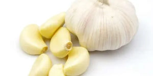 Health Benefits of Garlic