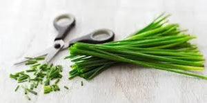 Chives, Not Just For Toppings