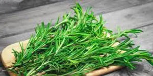 Benefits of Rosemary