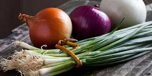 How onions help the body